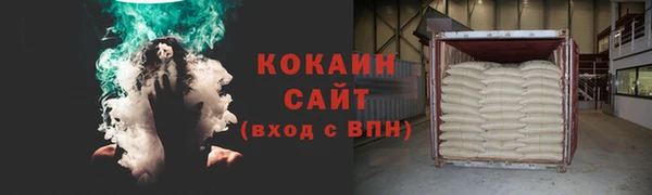 индика Гусиноозёрск